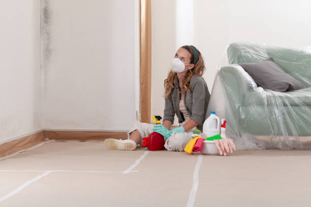 Reliable Black Mold Removal contractor in Manistee, MI by WQB Mold Removal